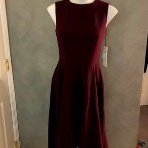 Calvin Klein Sleeveless Fit and Flare Dress